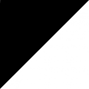 Prosport logo