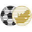 SAFA logo