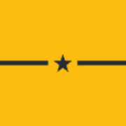 Times of Suriname logo